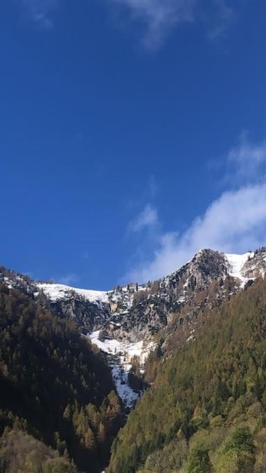 Il Sole Di Ester 布兰兹 外观 照片
